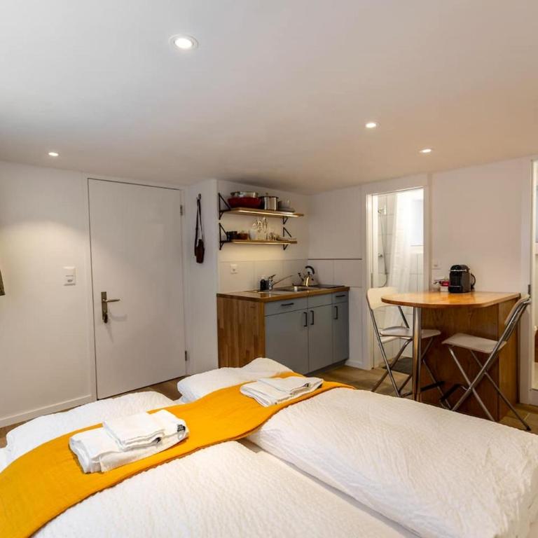 Sunny Bijou Studio - Ski-in, Ski-out - by Wengen Rentals - Studio-Apartment mit Queensize-Bett - 36