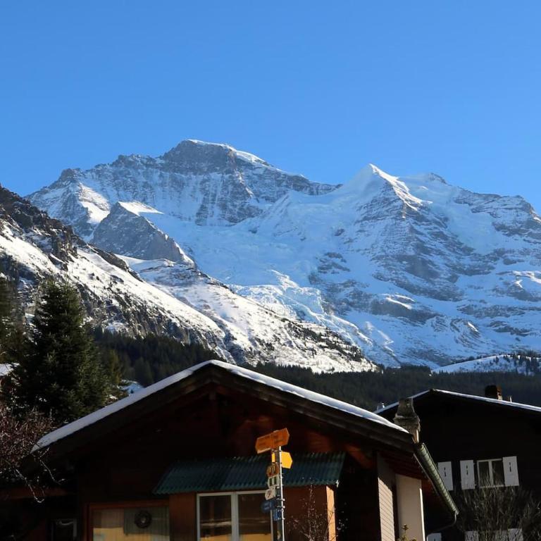 Sunny Bijou Studio - Ski-in, Ski-out - by Wengen Rentals - Studio-Apartment mit Queensize-Bett - 32
