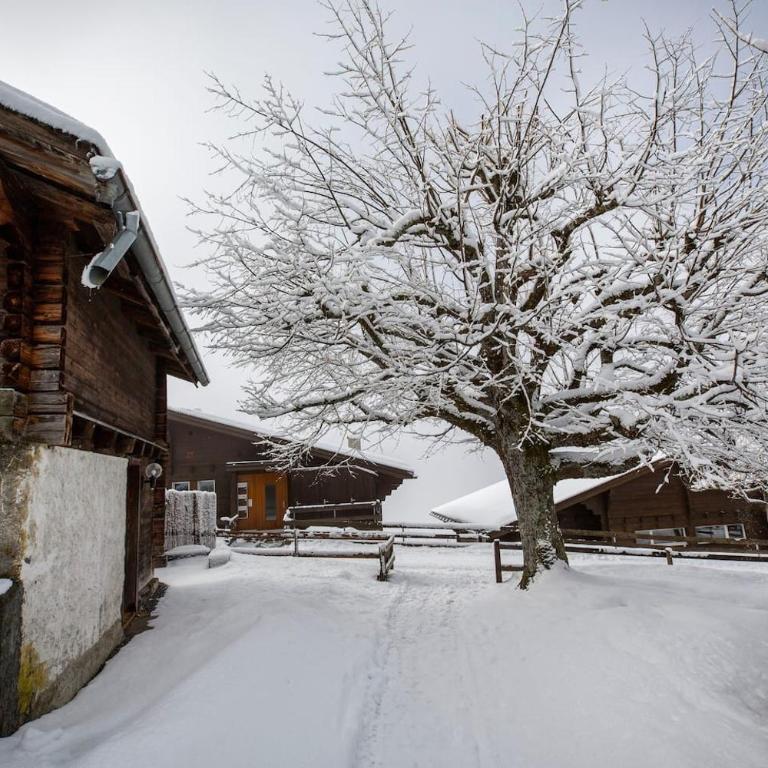 Sunny Bijou Studio - Ski-in, Ski-out - by Wengen Rentals - Studio-Apartment mit Queensize-Bett - 34