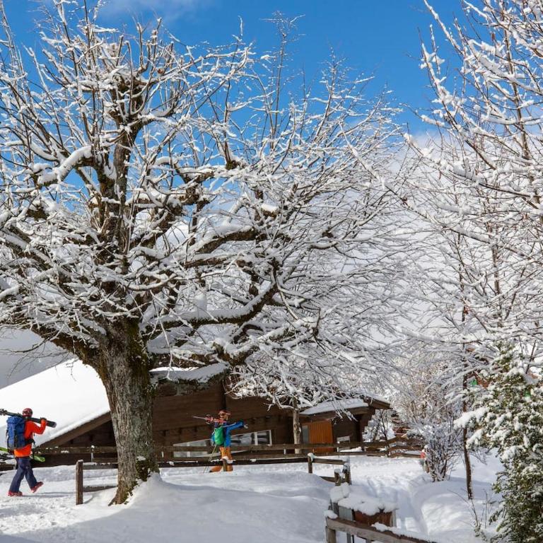 Sunny Bijou Studio - Ski-in, Ski-out - by Wengen Rentals - Studio-Apartment mit Queensize-Bett - 35