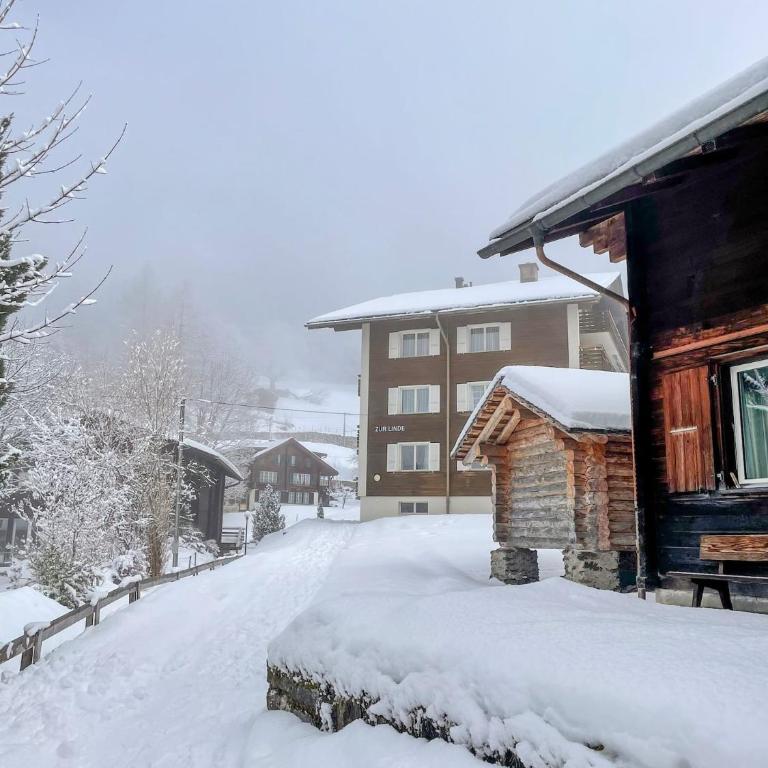 Sunny Bijou Studio - Ski-in, Ski-out - by Wengen Rentals - Studio-Apartment mit Queensize-Bett - 37