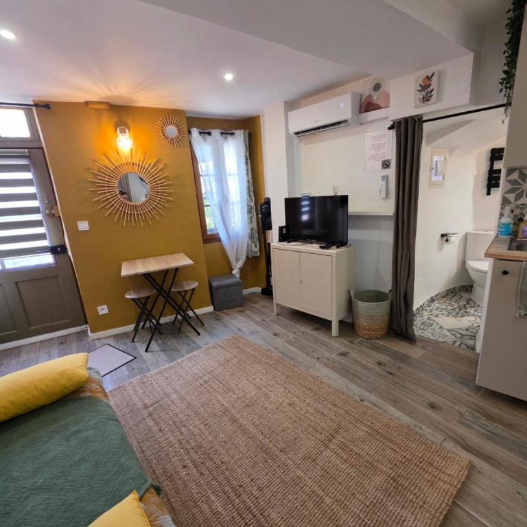 Atypique studio en bas du Château - Appartement 1 Chambre - 2