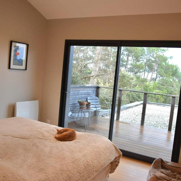 Lacanau Lake & Forest Villa 5BR & Pool - Villa - 6