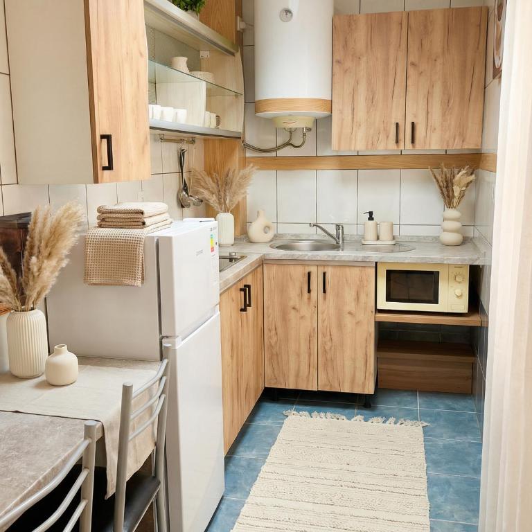 Apartments DS Club - Apartman sa Terasom - 5