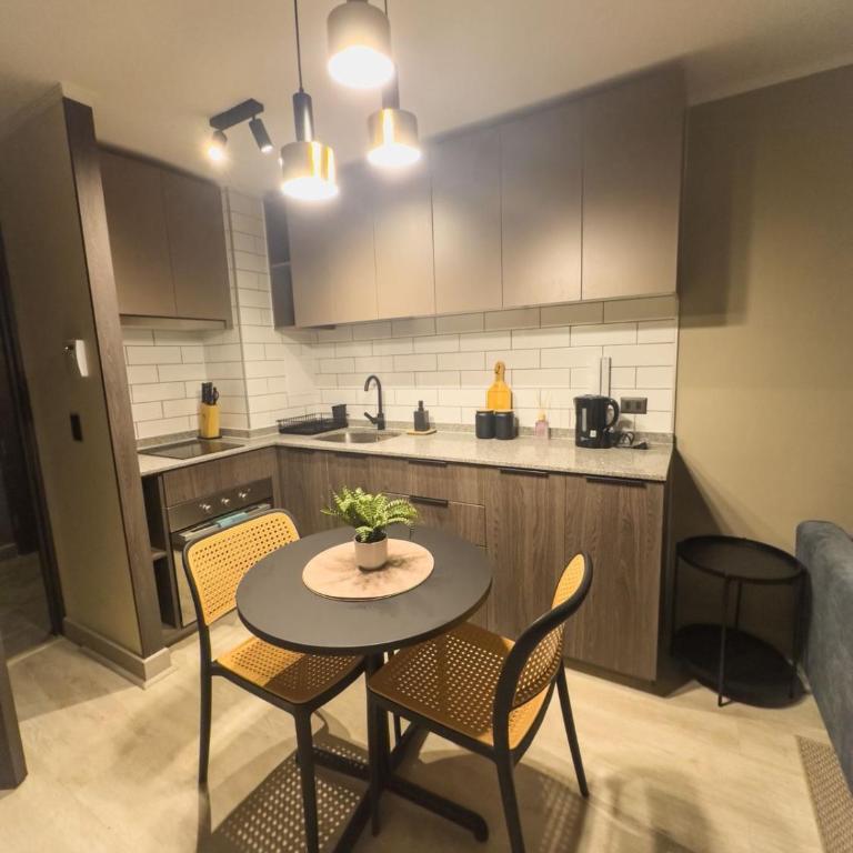 Depto frente a Hospital Clinico U de Chile Independencia - One-Bedroom Apartment - 13