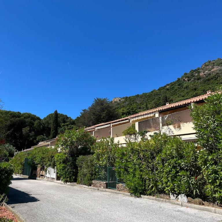 Charmant Studio avec terrasse à 300 m de la mer - Appartement 1 Chambre - 16