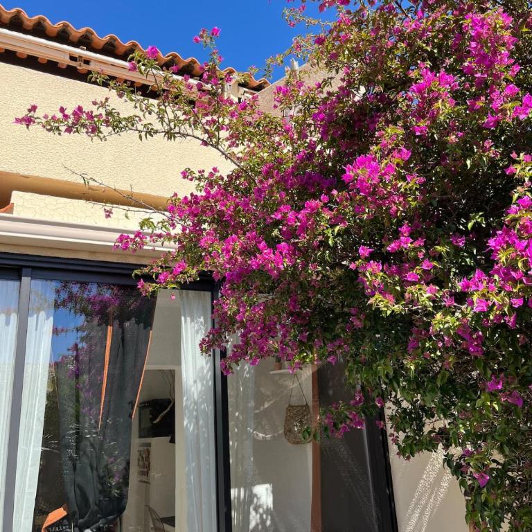 Charmant Studio avec terrasse à 300 m de la mer - Appartement 1 Chambre - 13