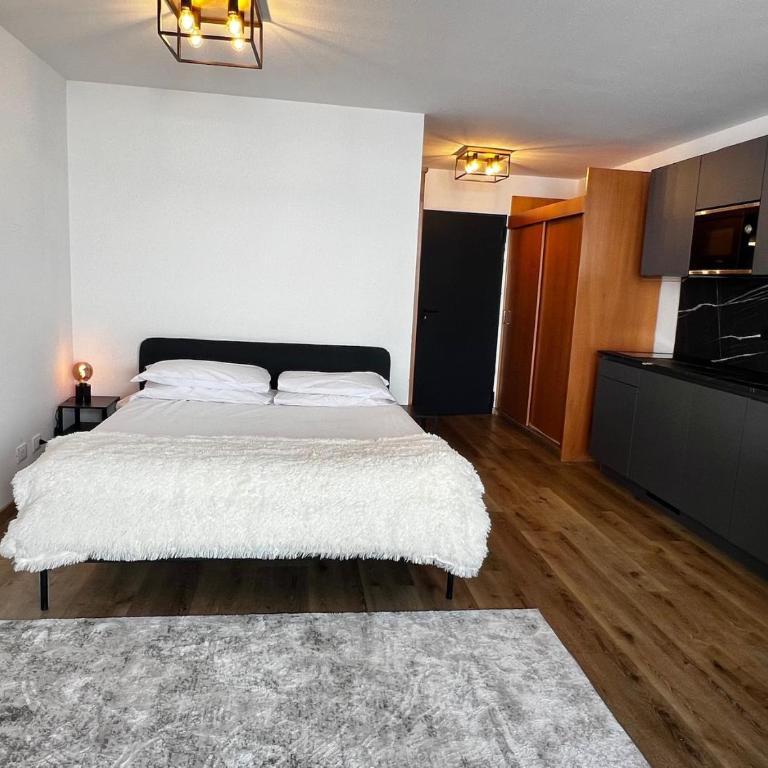 Grifone Dolomiti Residences - Monolocale Standard - 14