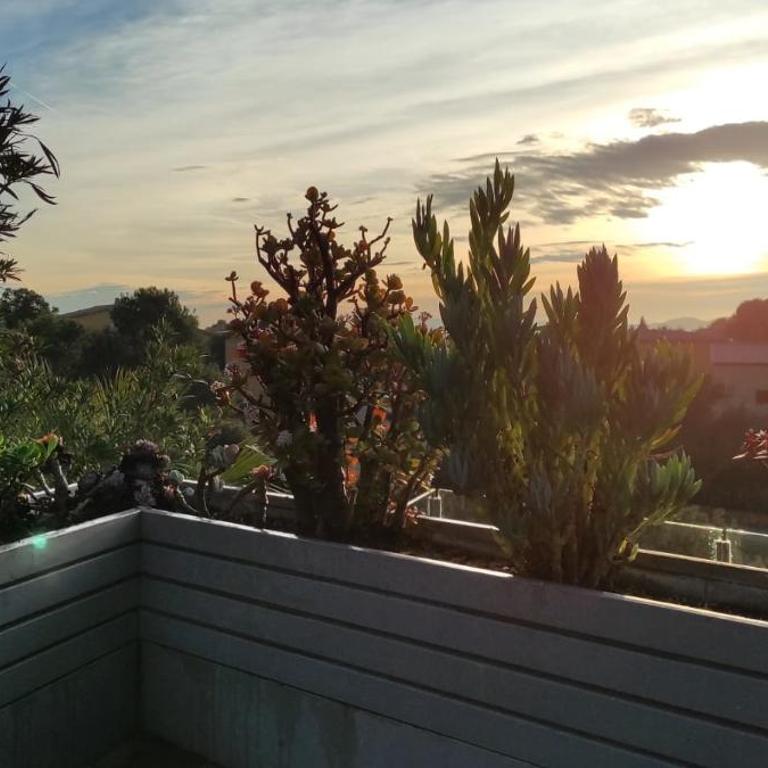 Casa Lou, architect villa with heated pool at Begur, 470m2 - Villa con piscina privada - 58