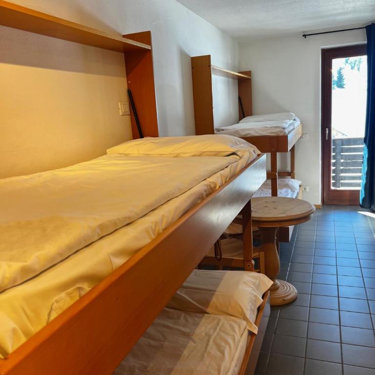 Grifone Dolomiti Residences - Appartamento su 2 Livelli - 12