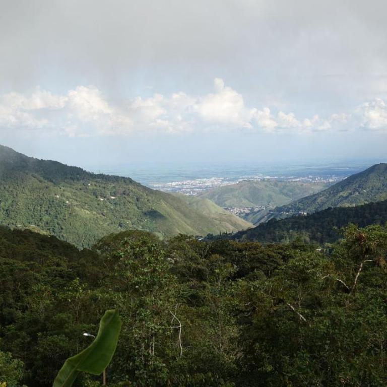 Casa Nido - En la cima del Queremal - Vacation Home - 10