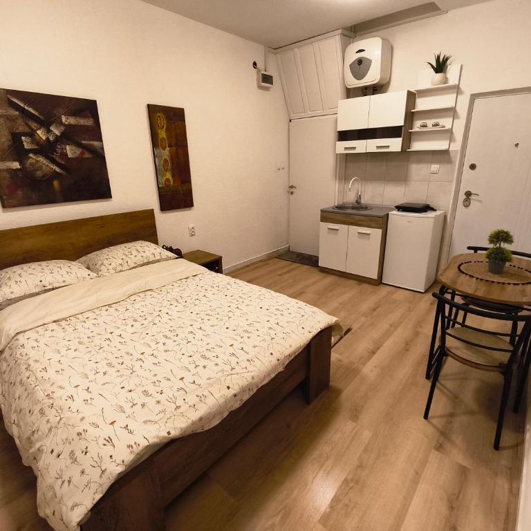 NS studio - Apartman sa 1 Spavaćom Sobom - 5