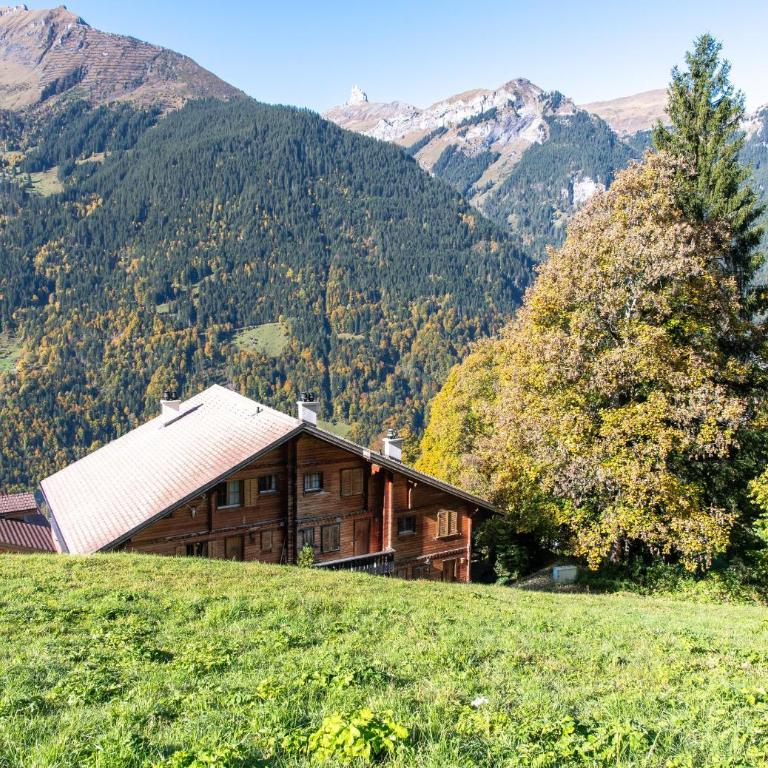 Chalet Barg u Tal - Superior Apartment mit Balkon - 25