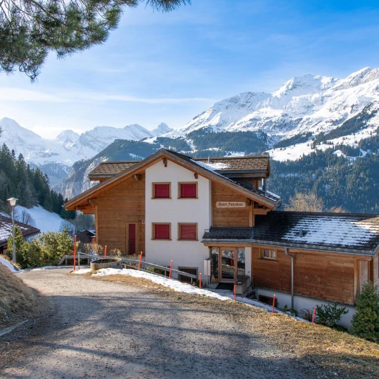 Chalet Silberhorn Penthouse - Penthouse-Apartment - 42