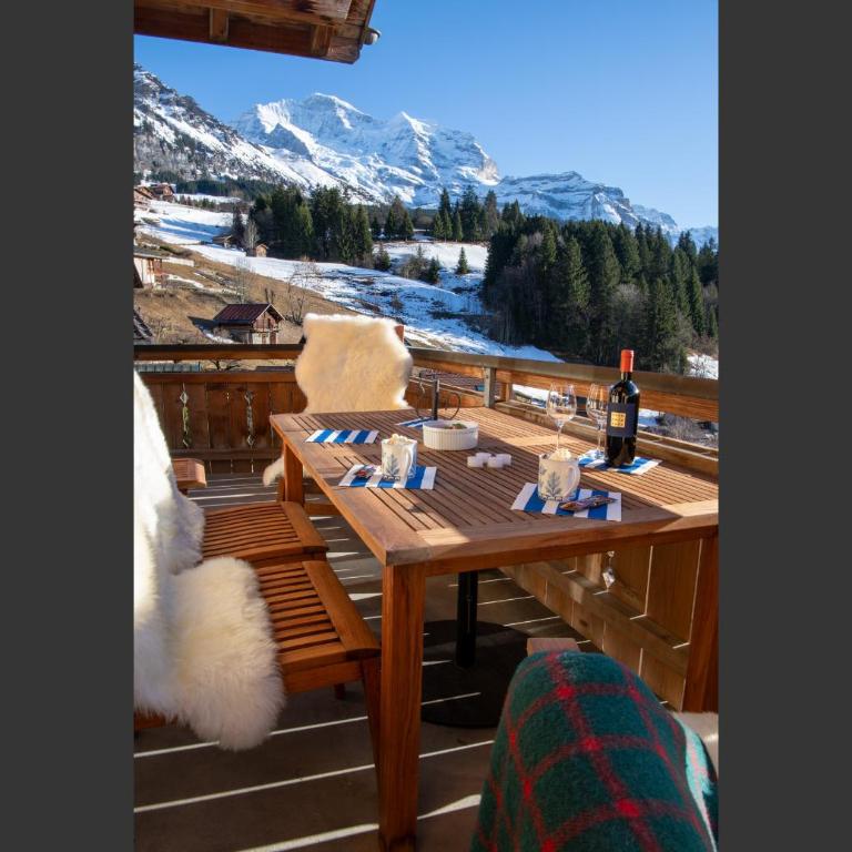 Chalet Silberhorn Penthouse - Penthouse-Apartment - 46