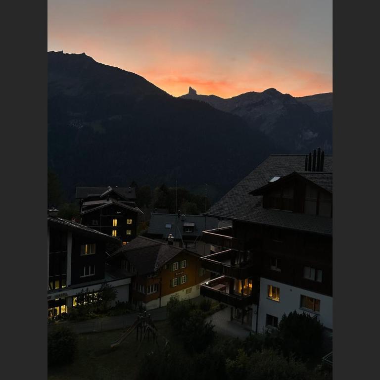 Chalet Am Acher Penthouse - Penthouse-Apartment - 35
