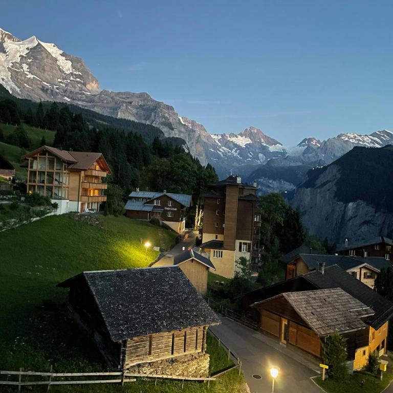 Chalet Am Acher Penthouse - Penthouse-Apartment - 49