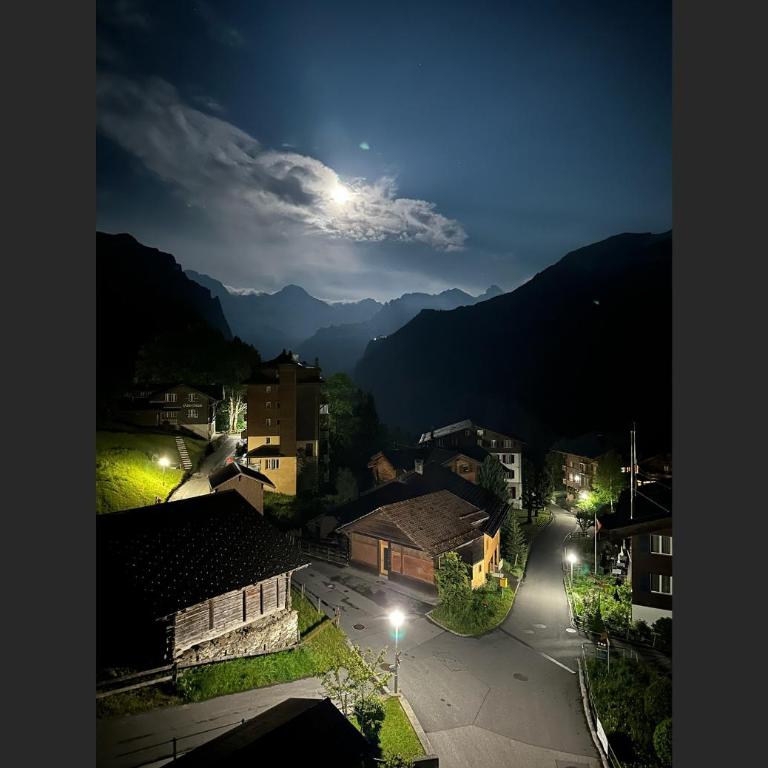 Chalet Am Acher Penthouse - Penthouse-Apartment - 52