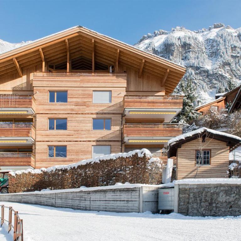 Chalet Am Acher Penthouse - Penthouse-Apartment - 55