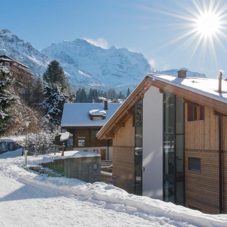 Chalet Am Acher Penthouse - Penthouse-Apartment - 56