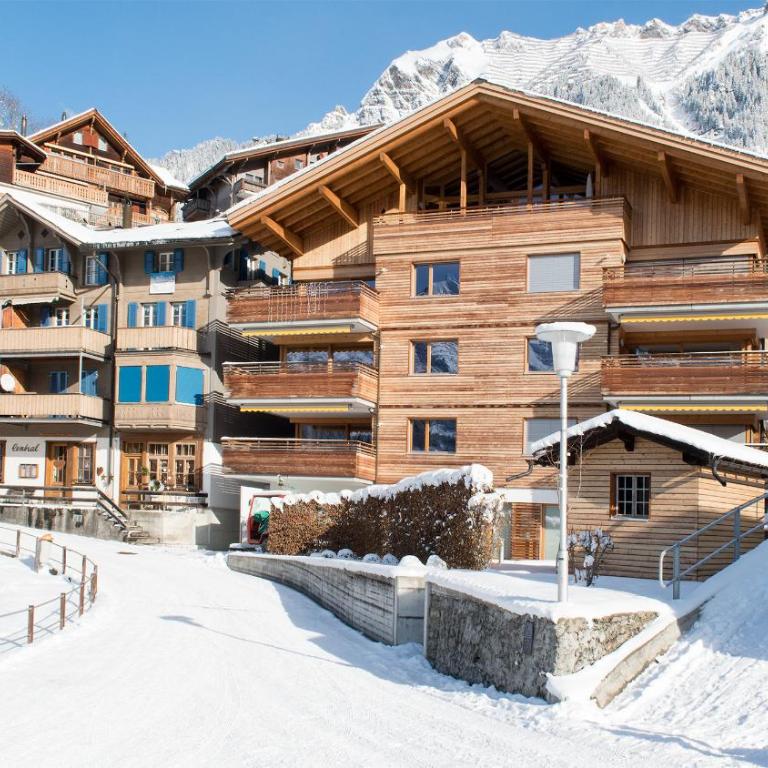 Chalet Am Acher Penthouse - Penthouse-Apartment - 57