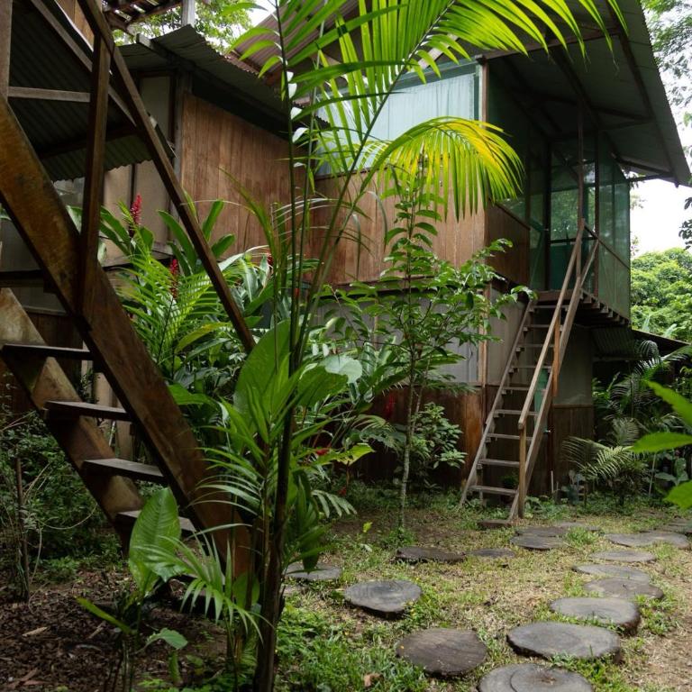 Green House Tambopata - Habitación Doble con baño privado - 6