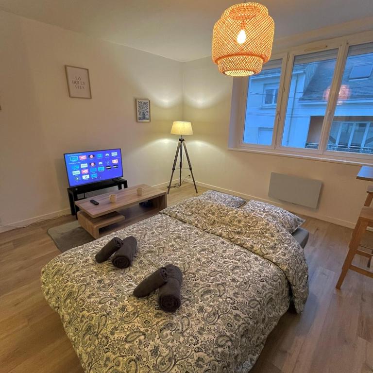 La Palmeraie - T2 Saint-Nazaire - Appartement 1 Chambre - 11