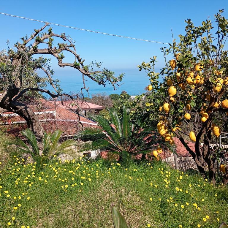 Sea View Garden Beach Home - Appartamento con 2 Camere da Letto - 12