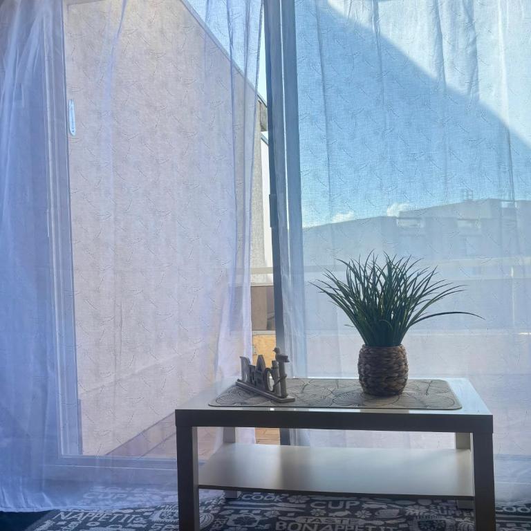 Bel appartement à 100m de la plage avec parking privé - Apartment mit 2 Schlafzimmern - 2