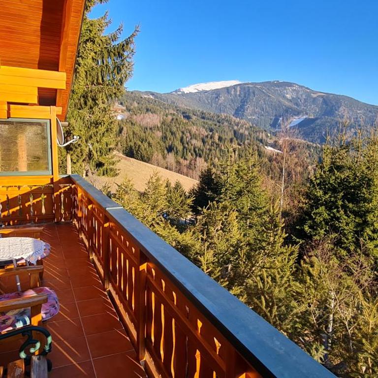 Almhaus "Sonnenschein" - Ferienhaus - 18