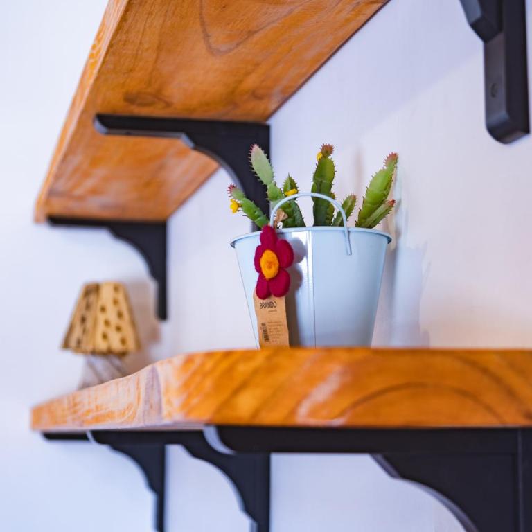 Vientos - La Yareta - Budget Single Room - 1
