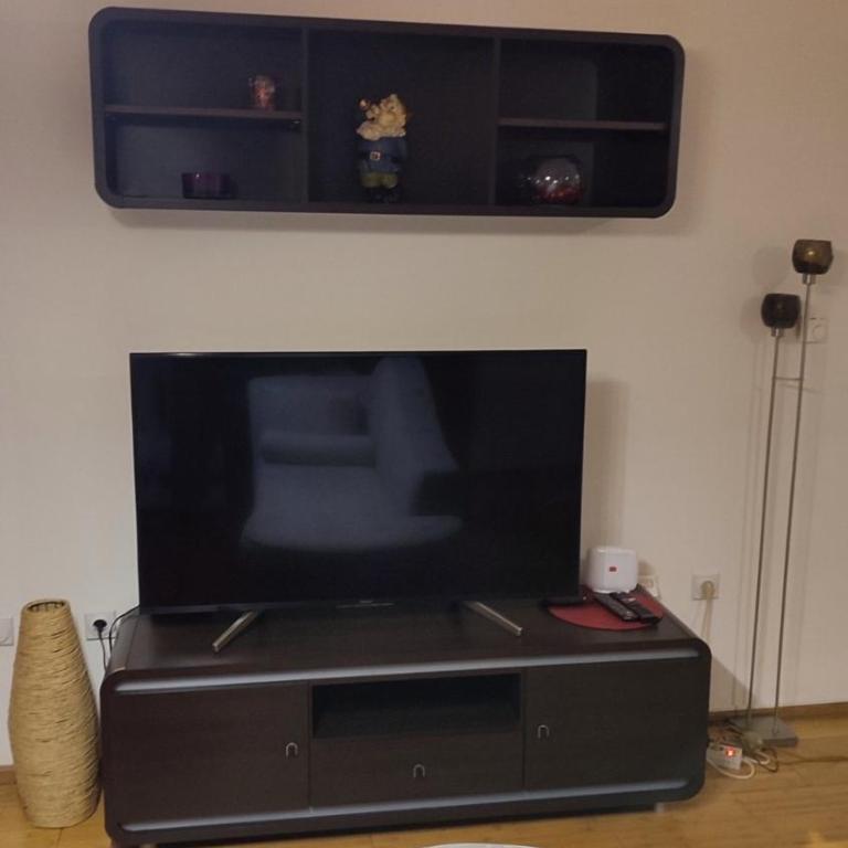 EM Apartman Pale Jahorina - One-Bedroom Apartment - 4