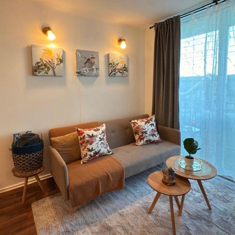 Depto céntrico cercano al lago con vista al volcán - Apartamento - 12