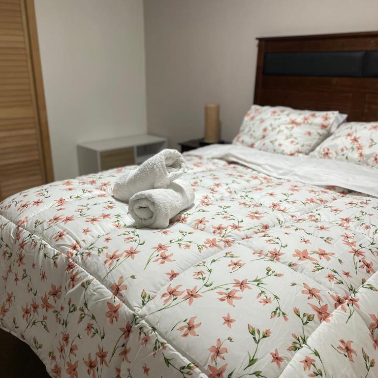 Casa acogedora cerca aeropuerto y Ruta 5 Sur - One-Bedroom Apartment - 5
