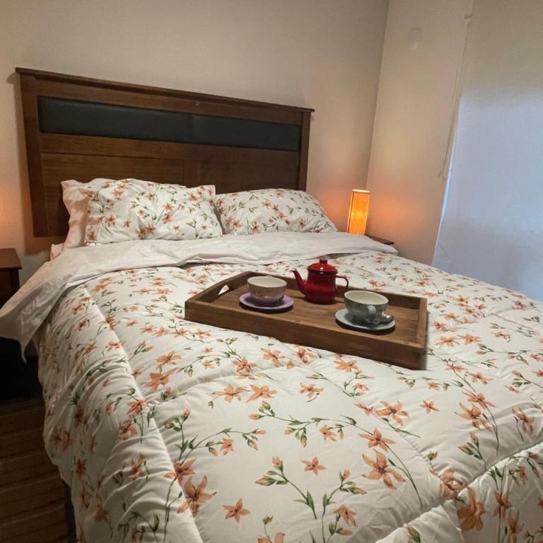 Casa acogedora cerca aeropuerto y Ruta 5 Sur - One-Bedroom Apartment - 4