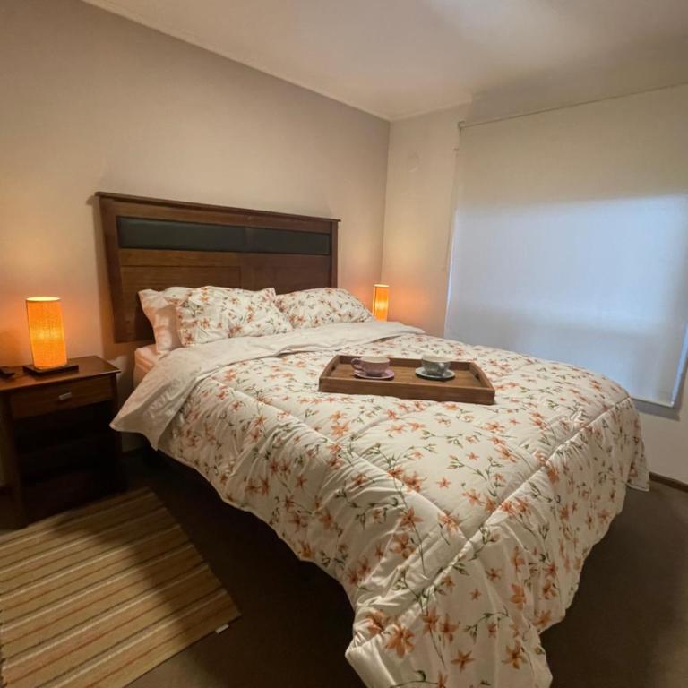 Casa acogedora cerca aeropuerto y Ruta 5 Sur - One-Bedroom Apartment - 2