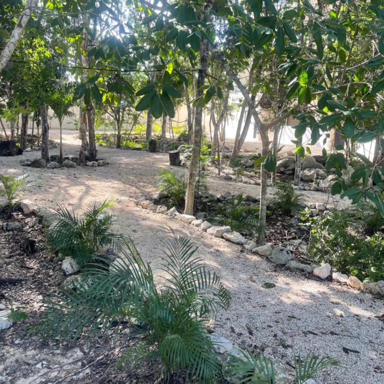 Luxury apartment for an unforgettable beach vacation experience - Three-Bedroom Deluxe Apartment - 25