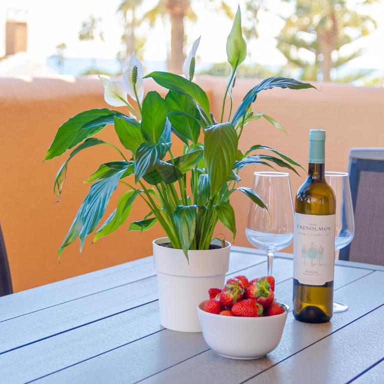 Seaview Beach Stay for 4 - Apartamento de 2 dormitorios - 26
