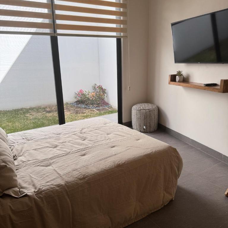 Cielo Suites - Apartamento de 2 dormitorios con vistas al jardín - 19