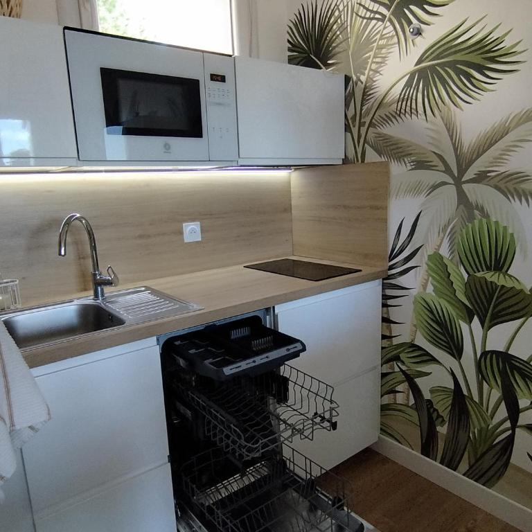 Appartement rénové climatisé - proche plage - FR-1-837-104 - Appartement - 17