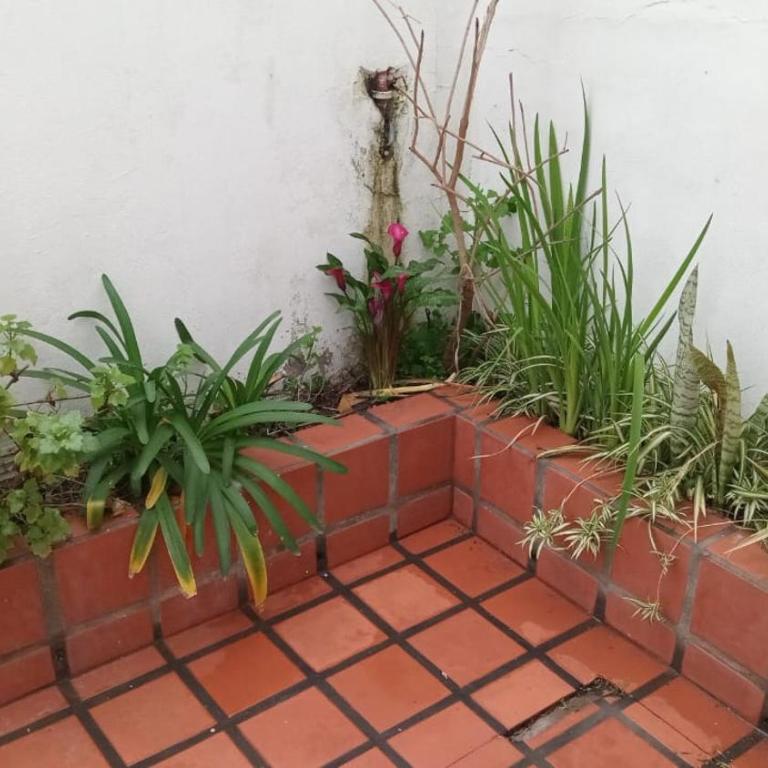 Alojamiento familiar Bolivar - Apartamento de 2 dormitorios - 15