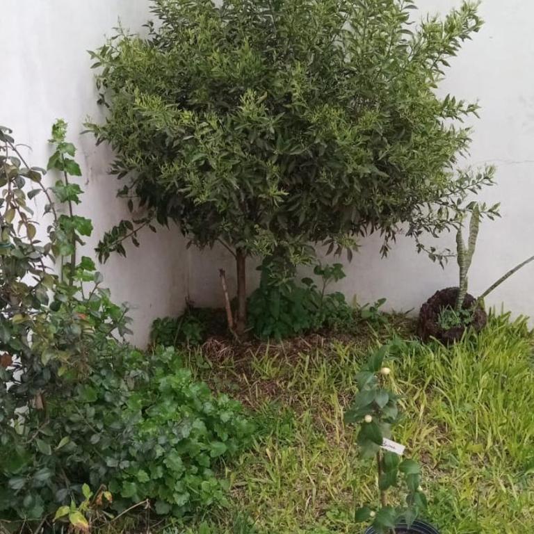 Alojamiento familiar Bolivar - Apartamento de 2 dormitorios - 17