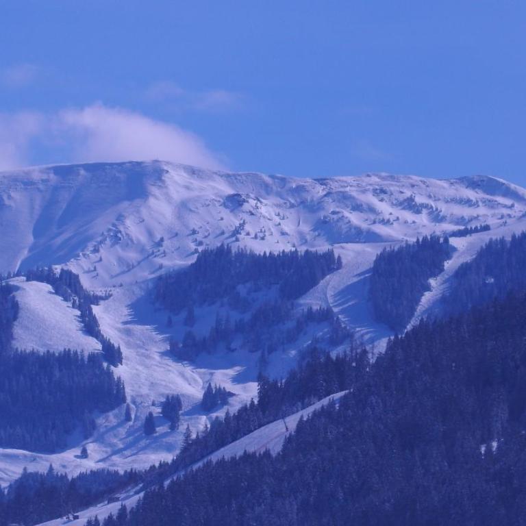 Saalfelden City Center - Two-Bedroom Apartment - Top 3 - 34