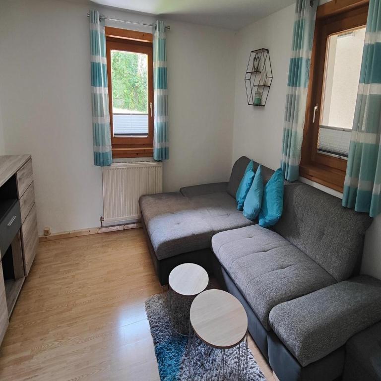 Apartment in Niedernsill near Ski Slopes - Appartement 2 Chambres - 18