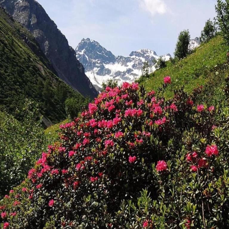 Chalet in Sankt Gallenkirch near Ski Bus - Apartment mit 2 Schlafzimmern - 31