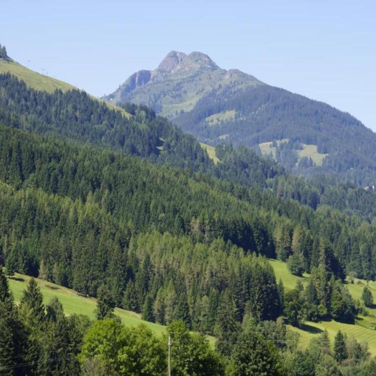 Apartment in Leogang near Ski Slopes - Apartment mit 2 Schlafzimmern - 29