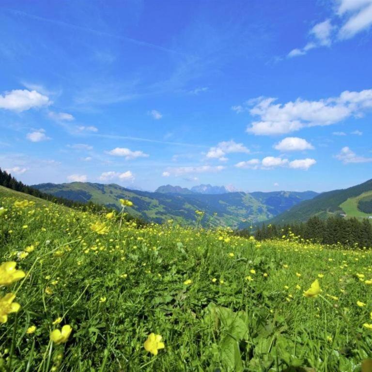 Luxury Chalet in Saalbach-Hinterglemm with Sauna - Chalet mit 2 Schlafzimmern - 7