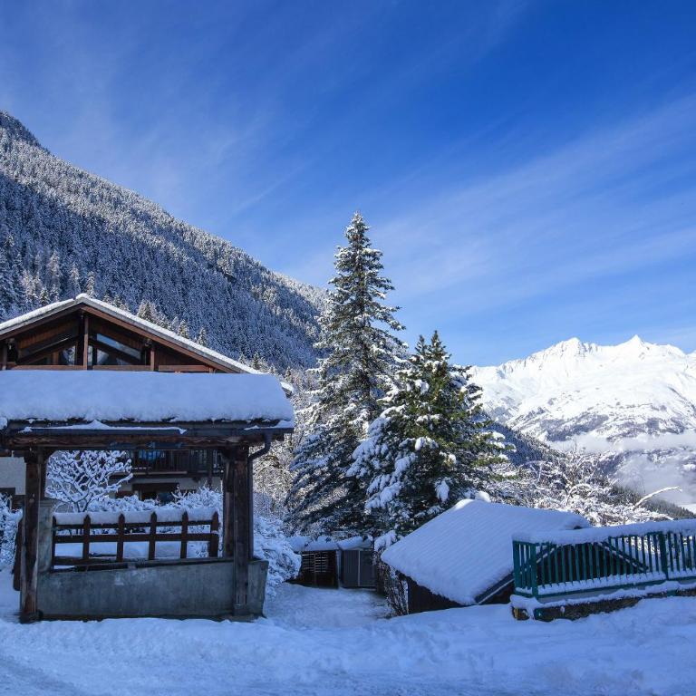 Ski Villaroger - Chalet - 11