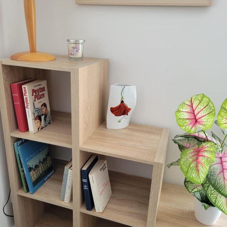 Le 25 degrés, T2 lumineux à 2 pas de la plage du Mauret - One-Bedroom Apartment - 26