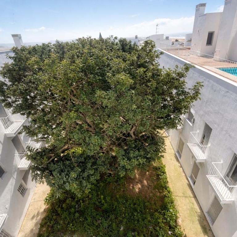 Luz de Conil Premium Apartment - Apartamento de 2 dormitorios - 19